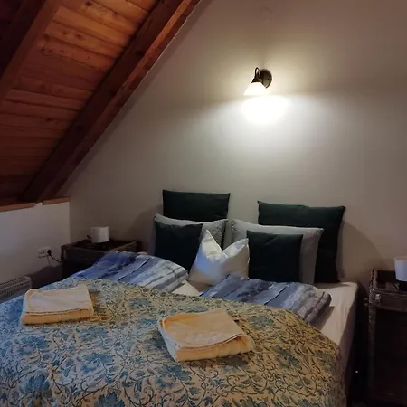 Kiskuti Vendeghaz Πανσιόν 4*