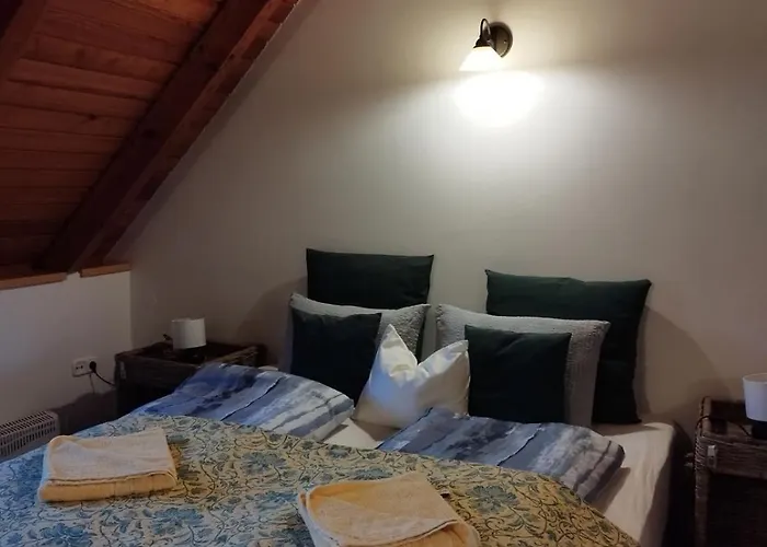 Kiskuti Vendeghaz בית הארחה 4*