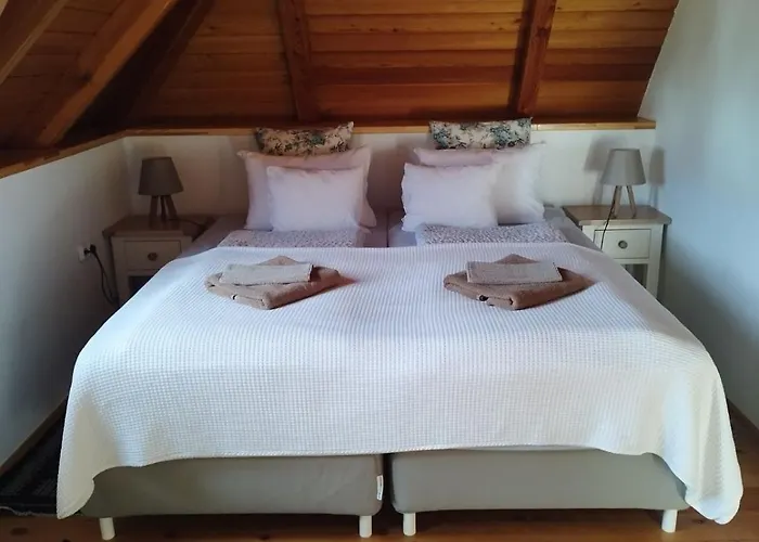 ゲストハウス Kiskuti Vendeghaz